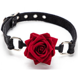 Generique Baillon Boule avec Rose Bud Gag Noir